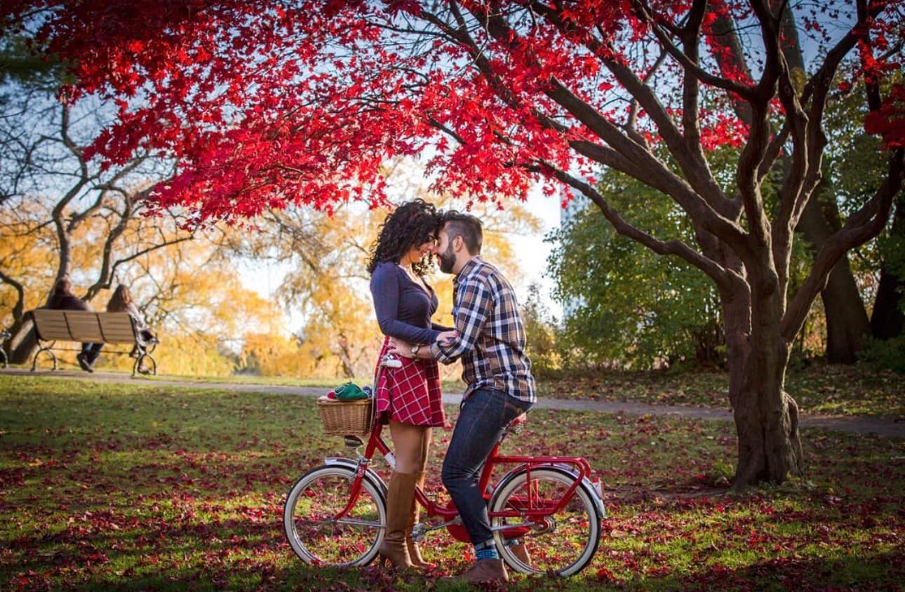 Fall minis · Nov 1